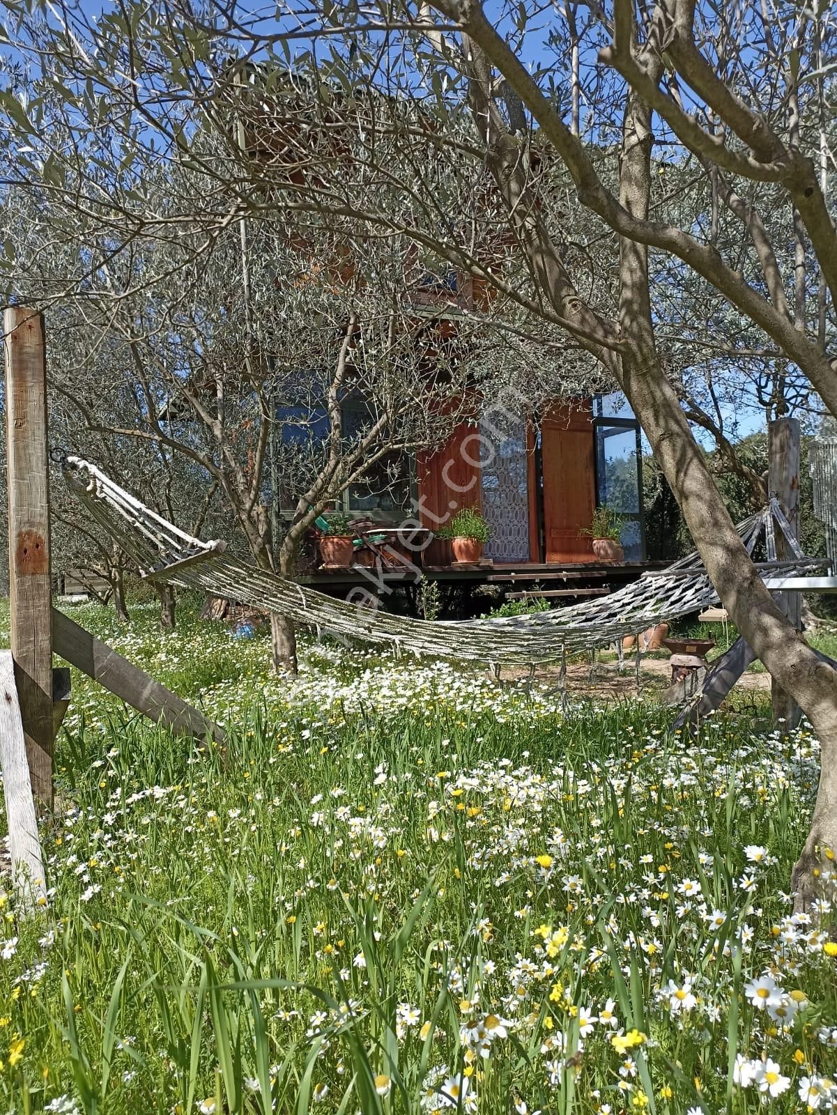 Bal Gayrimenkul- Çatalcada Yol Üzerinde Muhteşem 14 Dönüm Bahçe - Görsel 25
