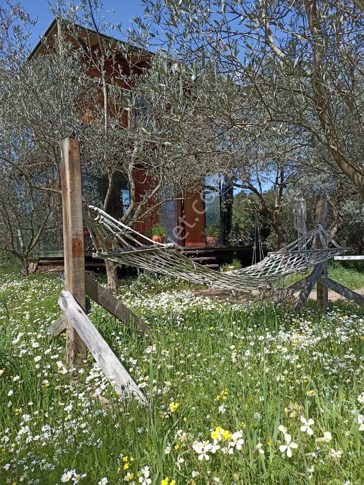 Bal Gayrimenkul- Çatalcada Yol Üzerinde Muhteşem 14 Dönüm Bahçe - Görsel 29