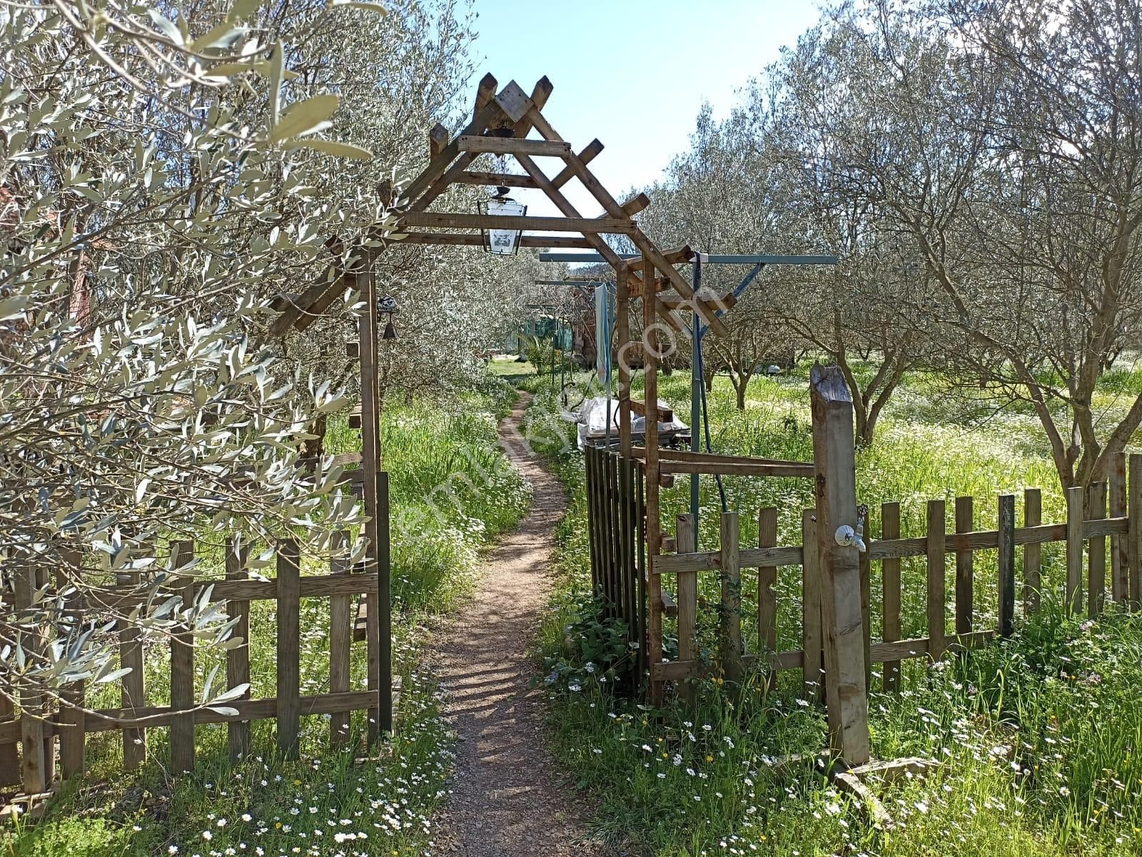 Bal Gayrimenkul- Çatalcada Yol Üzerinde Muhteşem 14 Dönüm Bahçe - Görsel 28