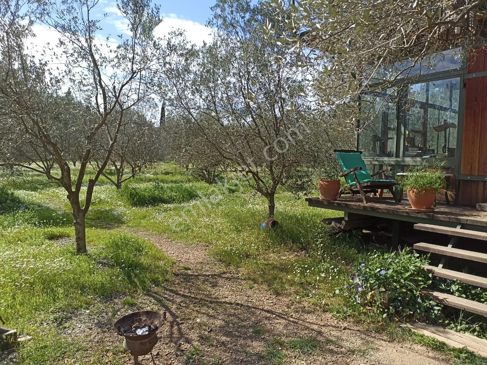 Bal Gayrimenkul- Çatalcada Yol Üzerinde Muhteşem 14 Dönüm Bahçe - Görsel 20