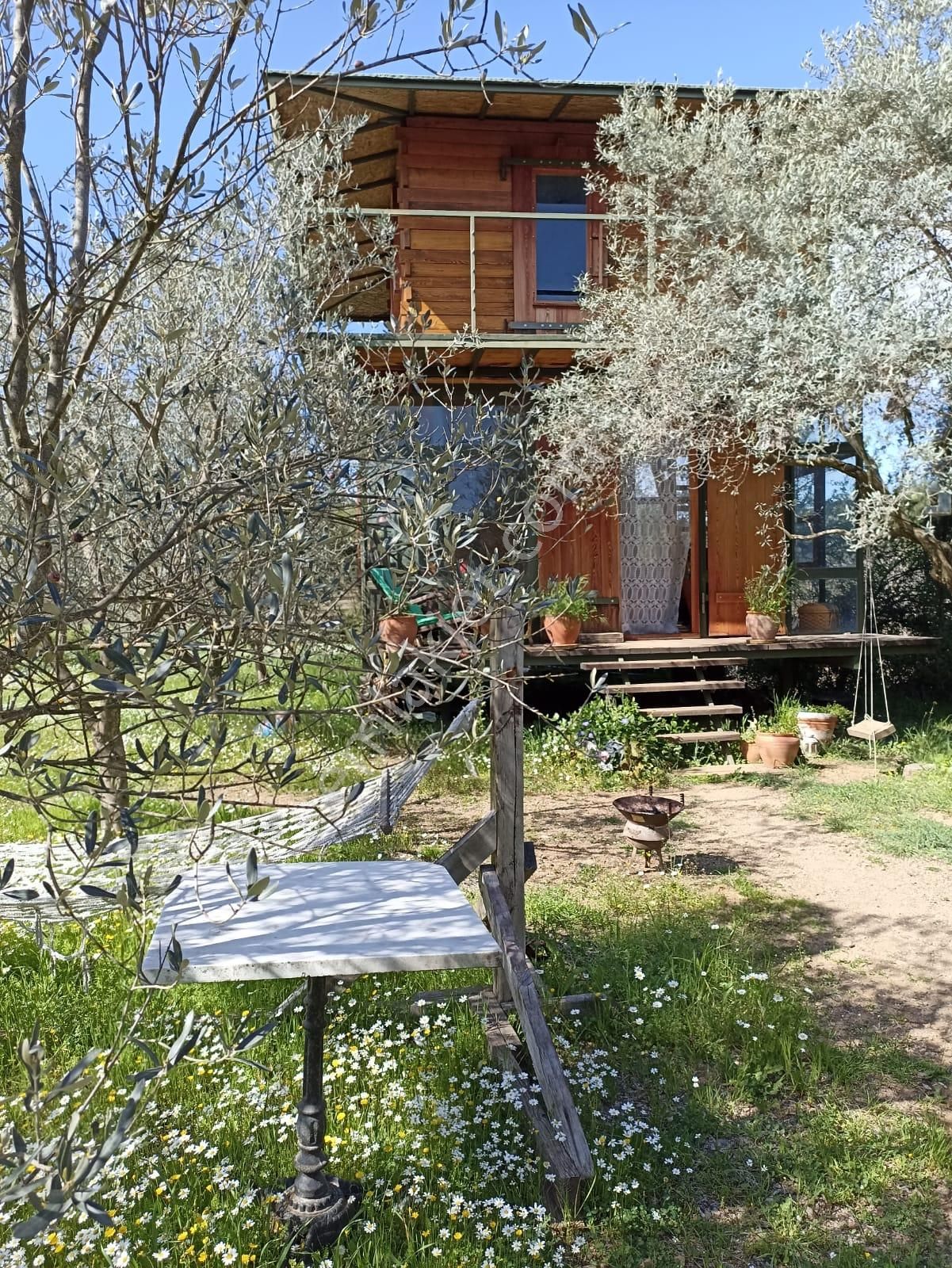 Bal Gayrimenkul- Çatalcada Yol Üzerinde Muhteşem 14 Dönüm Bahçe - Görsel 24