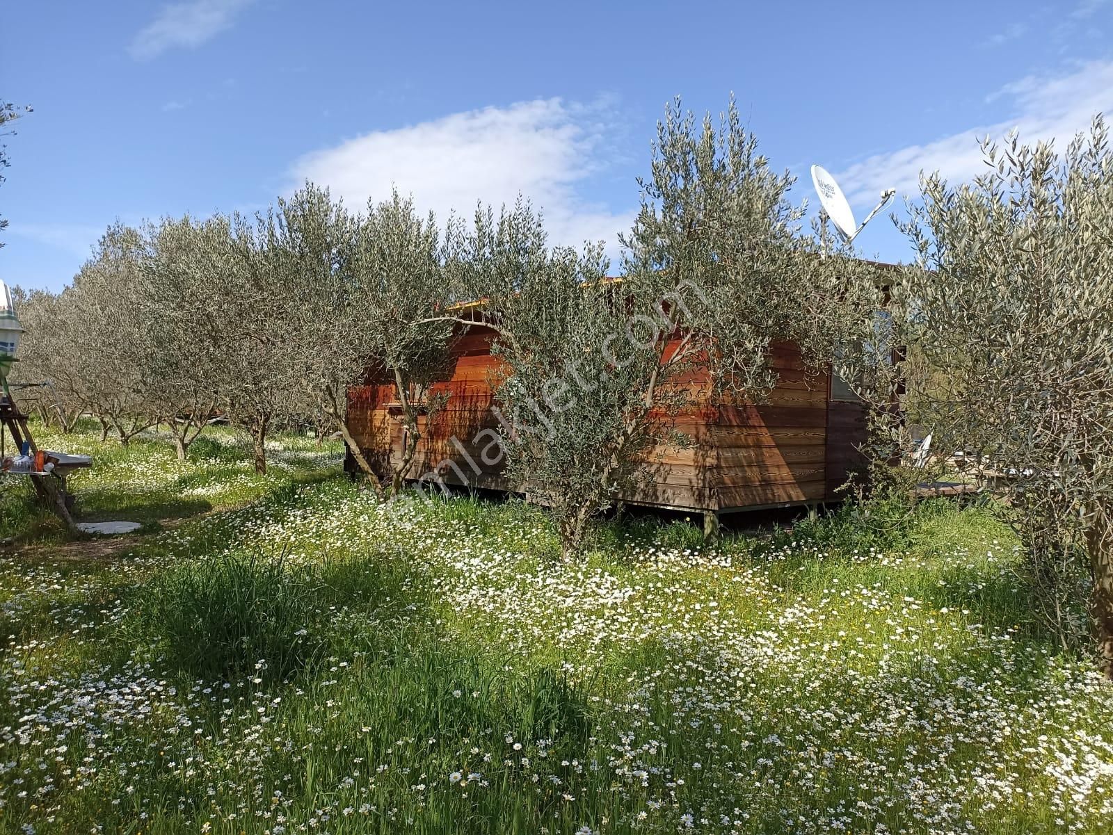 Bal Gayrimenkul- Çatalcada Yol Üzerinde Muhteşem 14 Dönüm Bahçe - Görsel 7