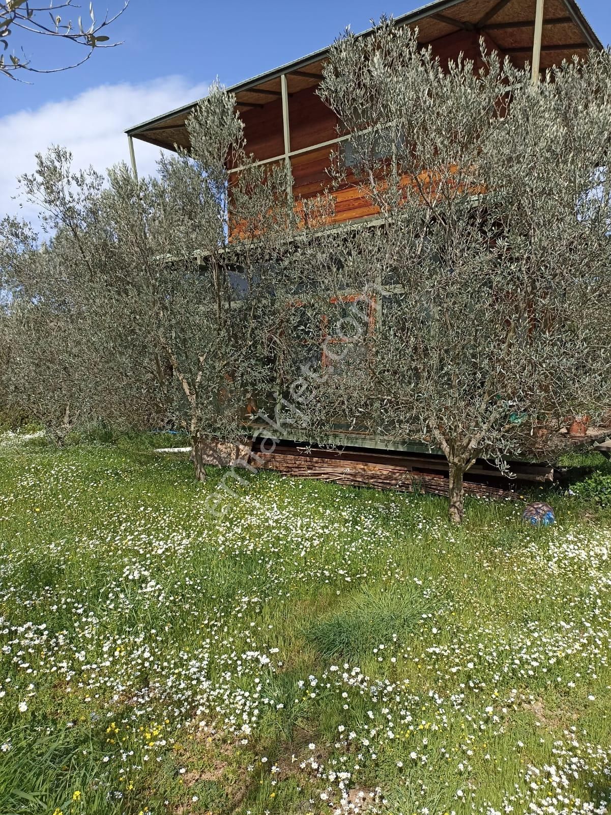 Bal Gayrimenkul- Çatalcada Yol Üzerinde Muhteşem 14 Dönüm Bahçe - Görsel 19