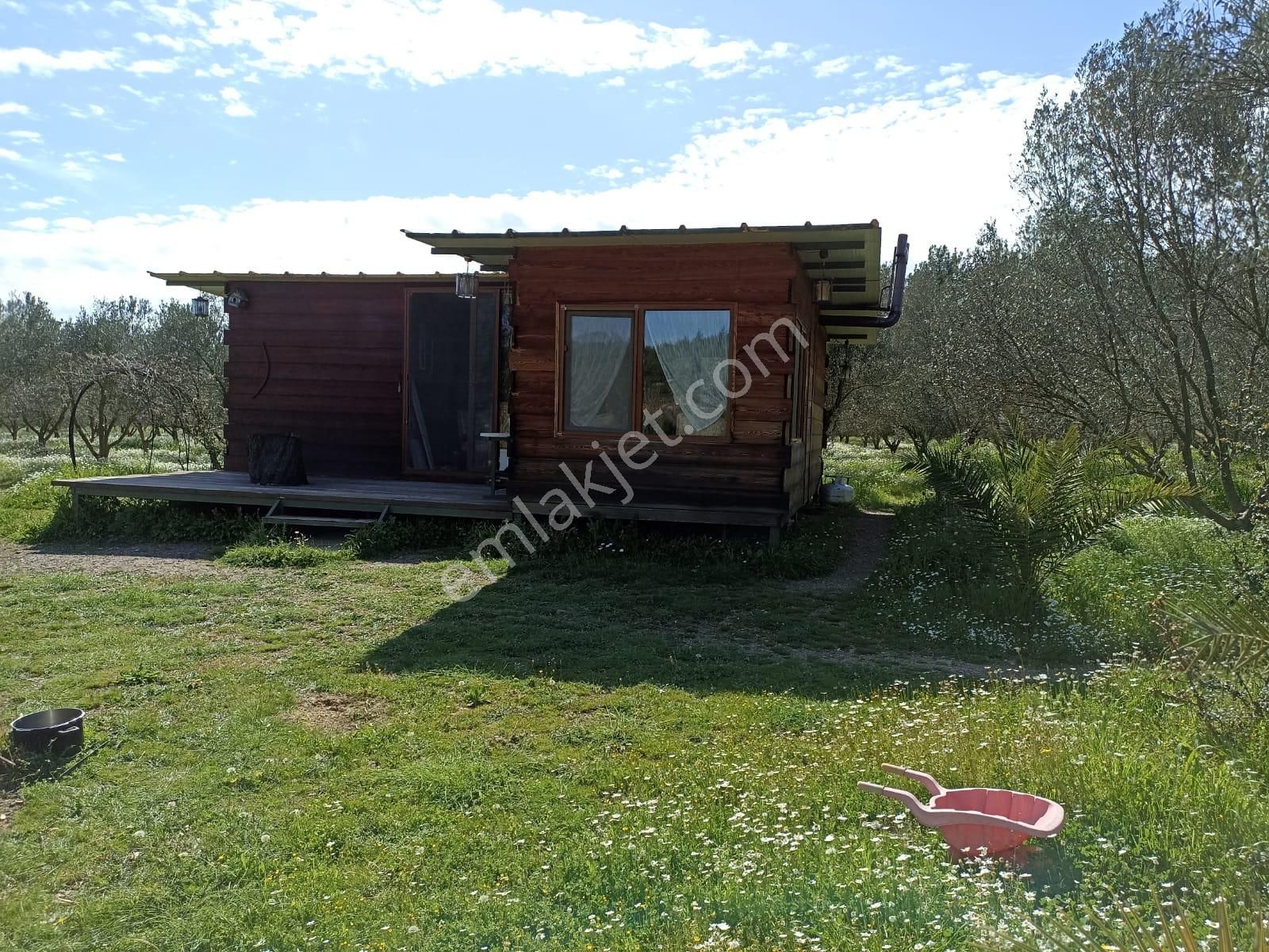 Bal Gayrimenkul- Çatalcada Yol Üzerinde Muhteşem 14 Dönüm Bahçe - Görsel 12