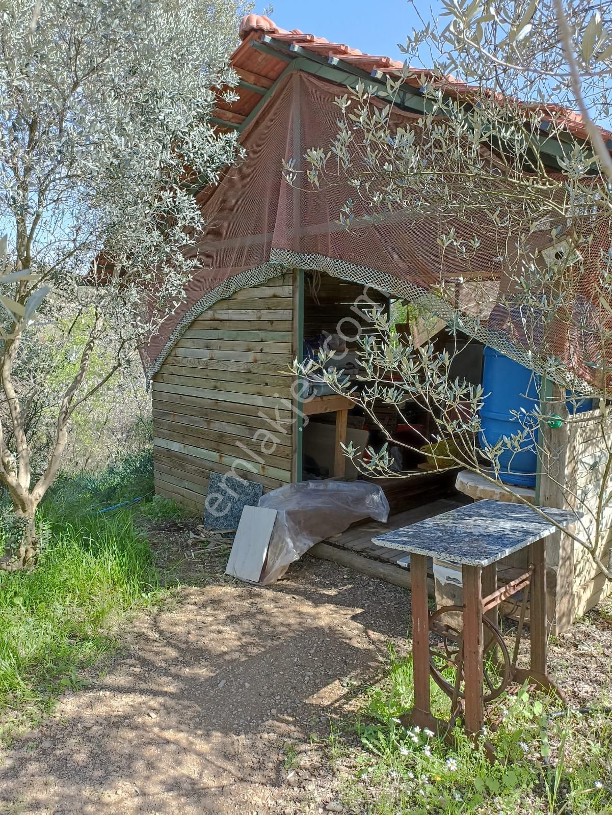 Bal Gayrimenkul- Çatalcada Yol Üzerinde Muhteşem 14 Dönüm Bahçe - Görsel 13