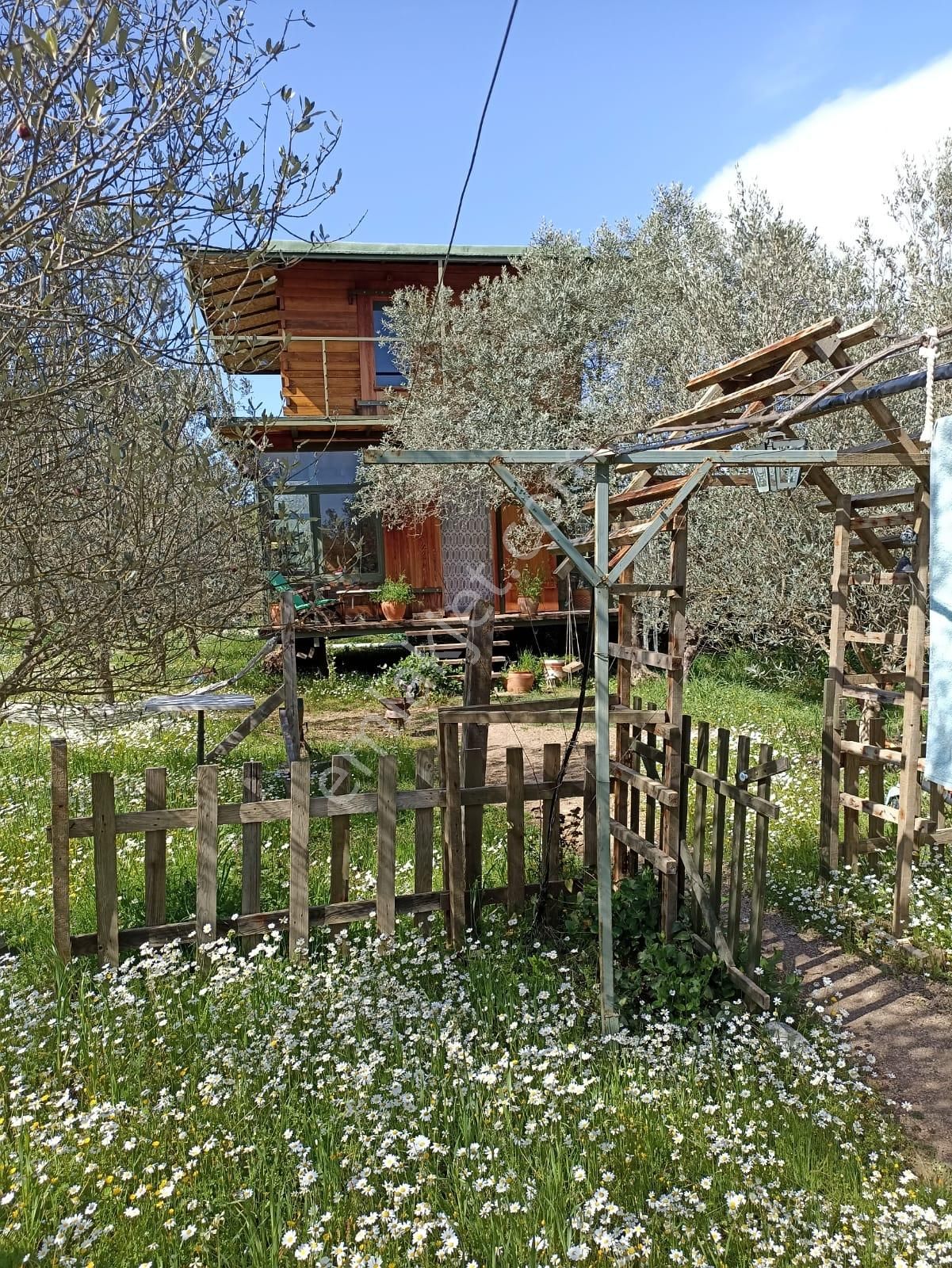 Bal Gayrimenkul- Çatalcada Yol Üzerinde Muhteşem 14 Dönüm Bahçe - Görsel 27