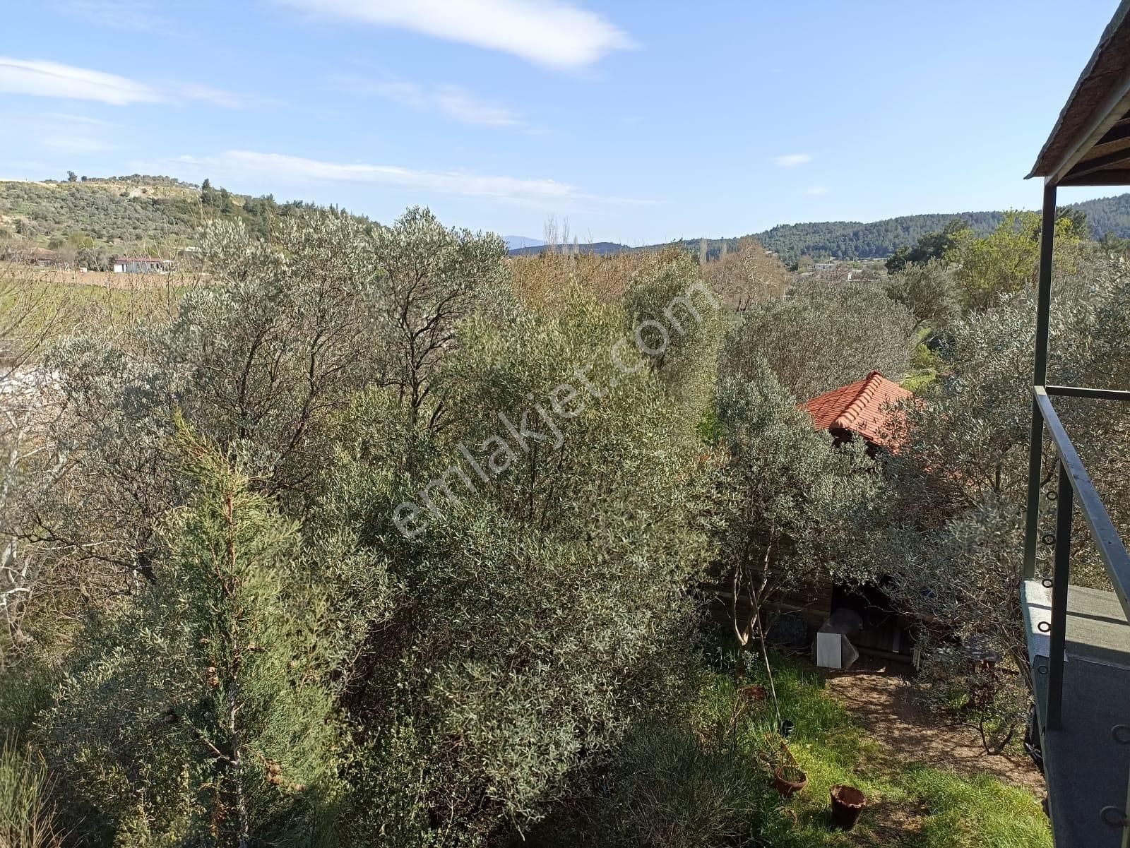 Bal Gayrimenkul- Çatalcada Yol Üzerinde Muhteşem 14 Dönüm Bahçe - Görsel 34