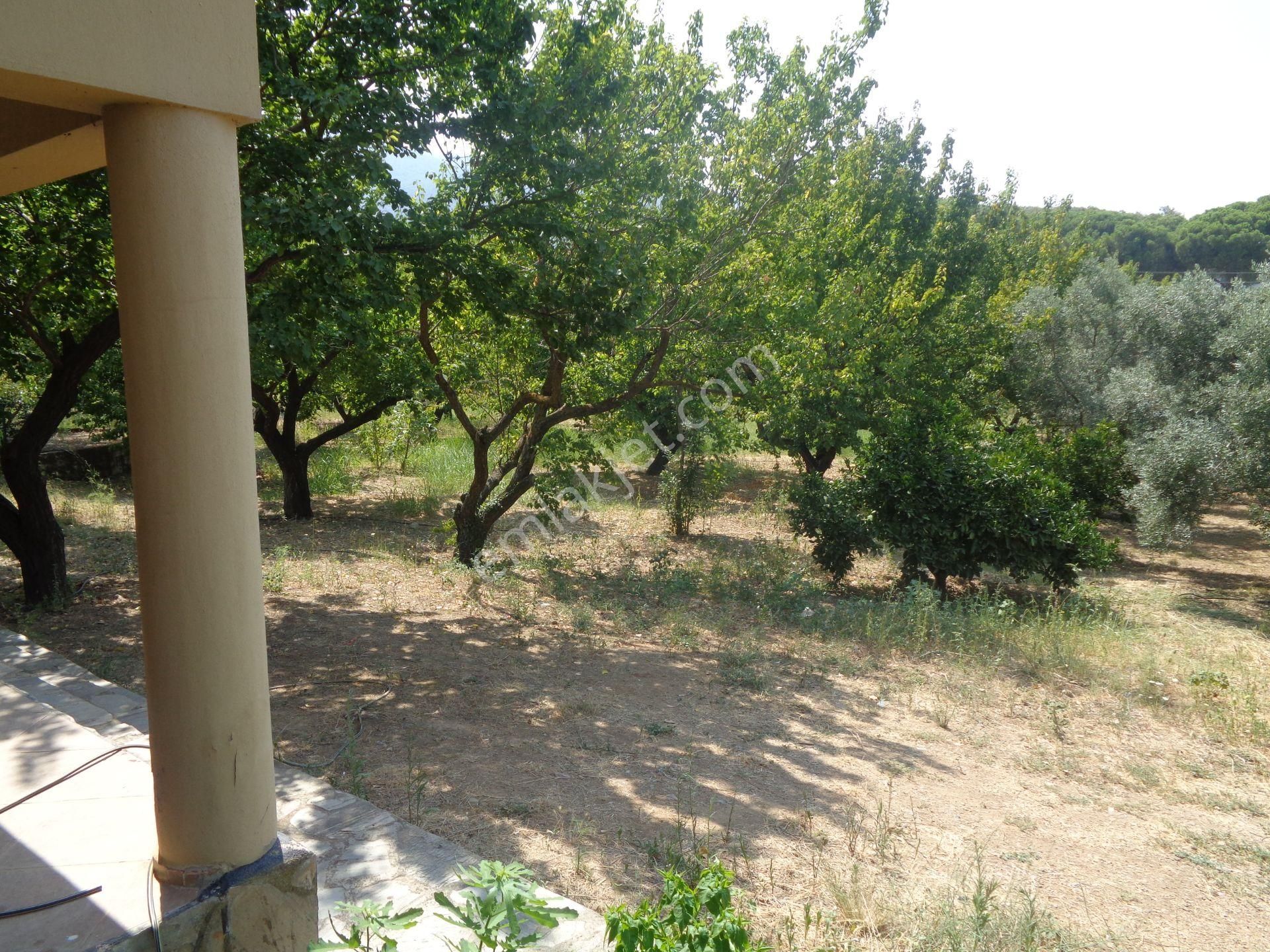 Bal Gayrimenkul-değirmenderede Resmi Kayıtlı 5+1 Villalı Bahçe - Görsel 7