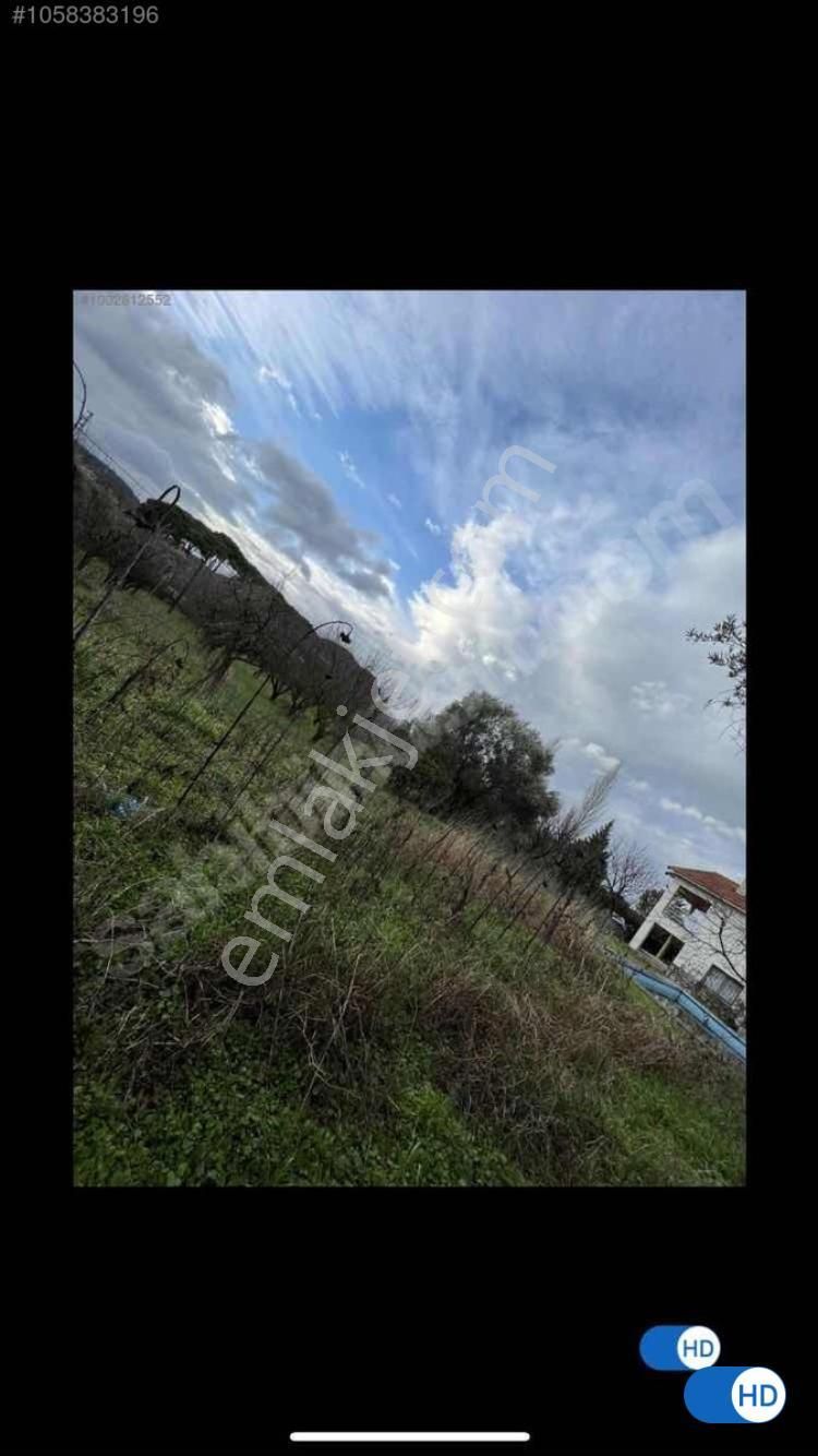 Bal Gayrimenkul-değirmenderede Resmi Kayıtlı 5+1 Villalı Bahçe - Görsel 17