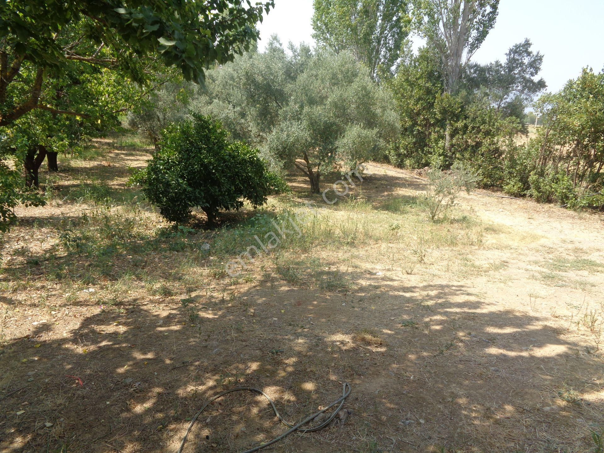 Bal Gayrimenkul-değirmenderede Resmi Kayıtlı 5+1 Villalı Bahçe - Görsel 3