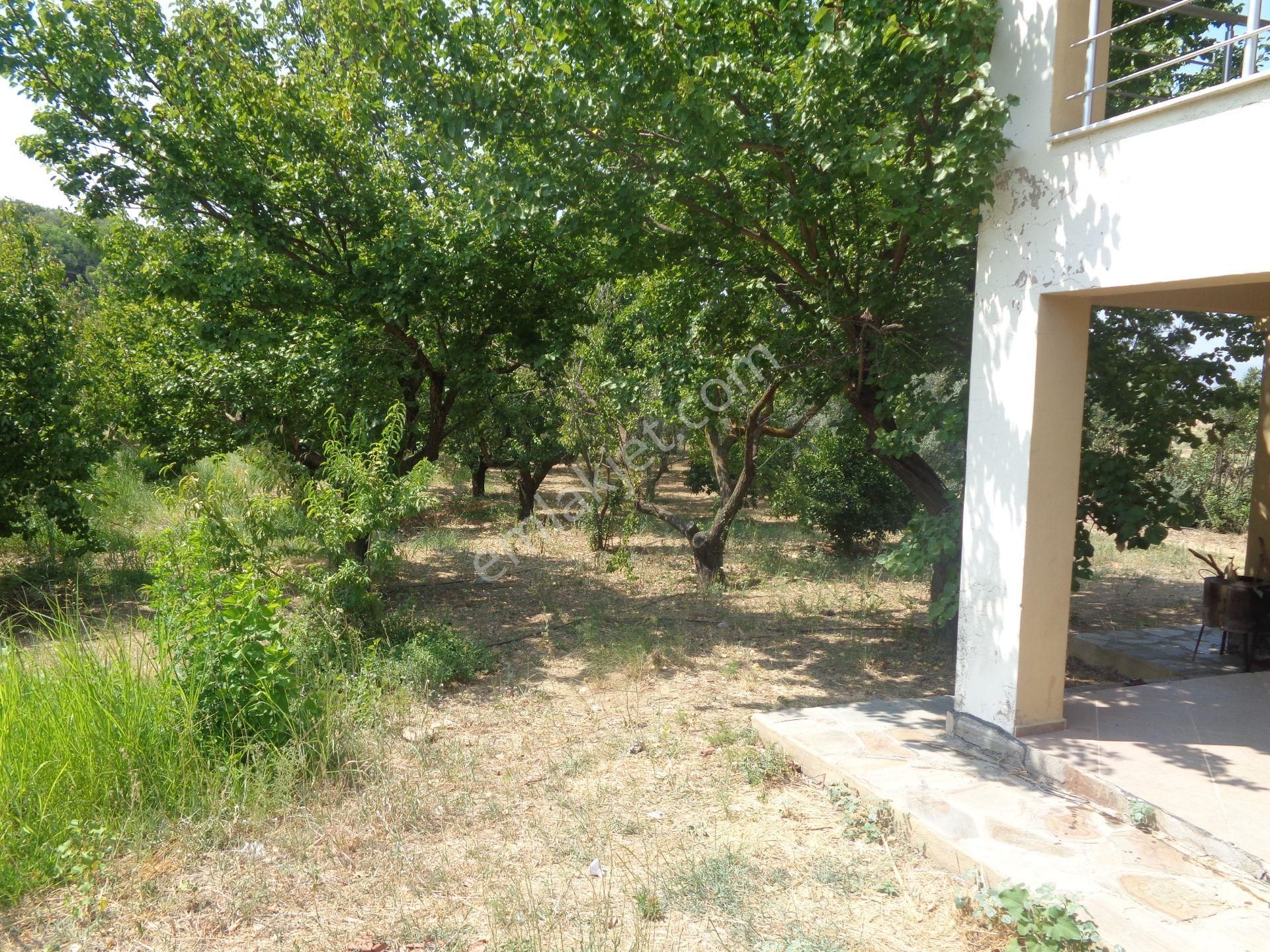 Bal Gayrimenkul-değirmenderede Resmi Kayıtlı 5+1 Villalı Bahçe - Görsel 5