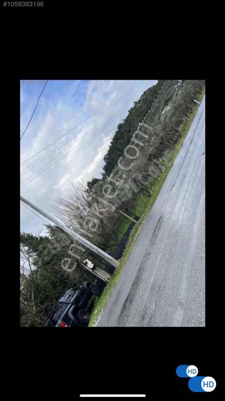 Bal Gayrimenkul-değirmenderede Resmi Kayıtlı 5+1 Villalı Bahçe - Görsel 18