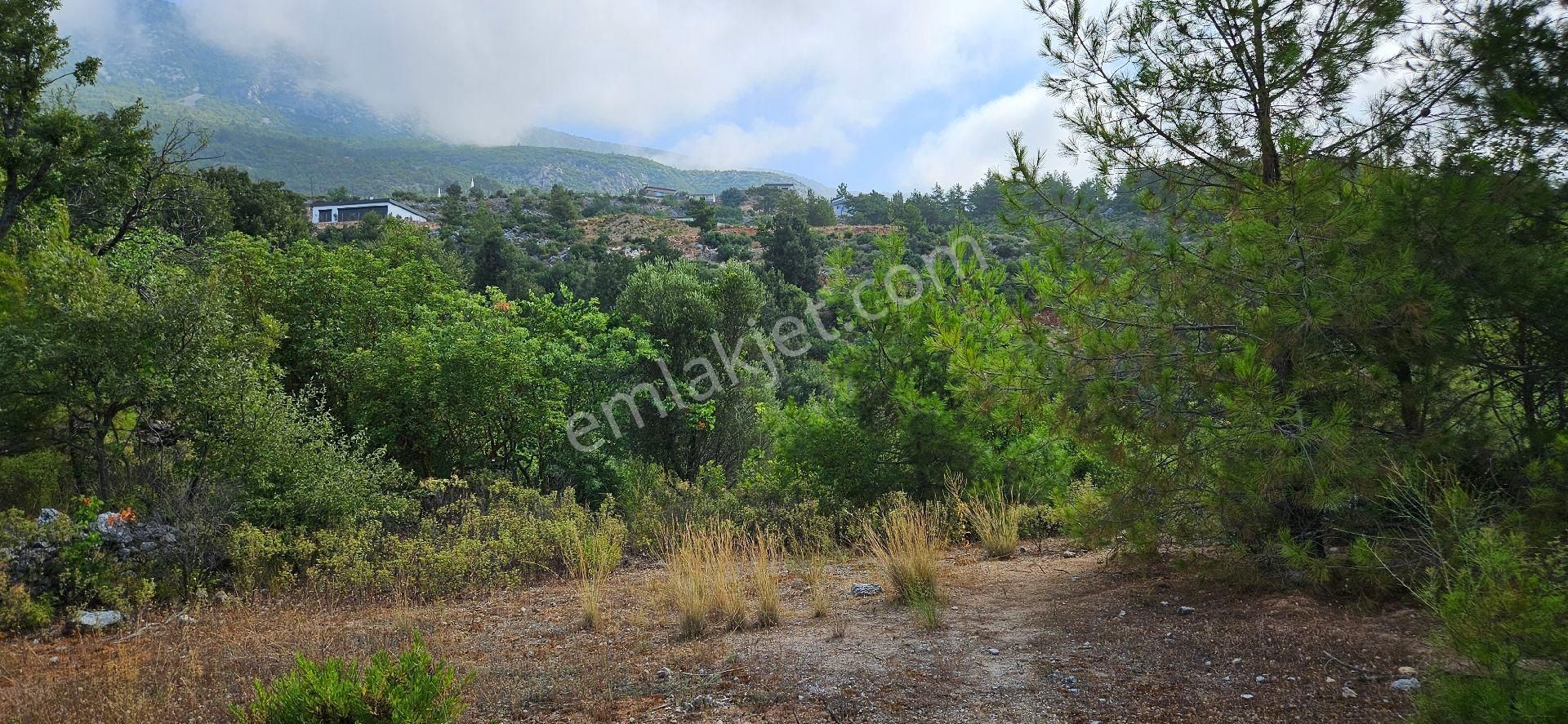 Alanya Bademağacında Satılık 500 Metre Bahçe Tapulu Yer - Görsel 14