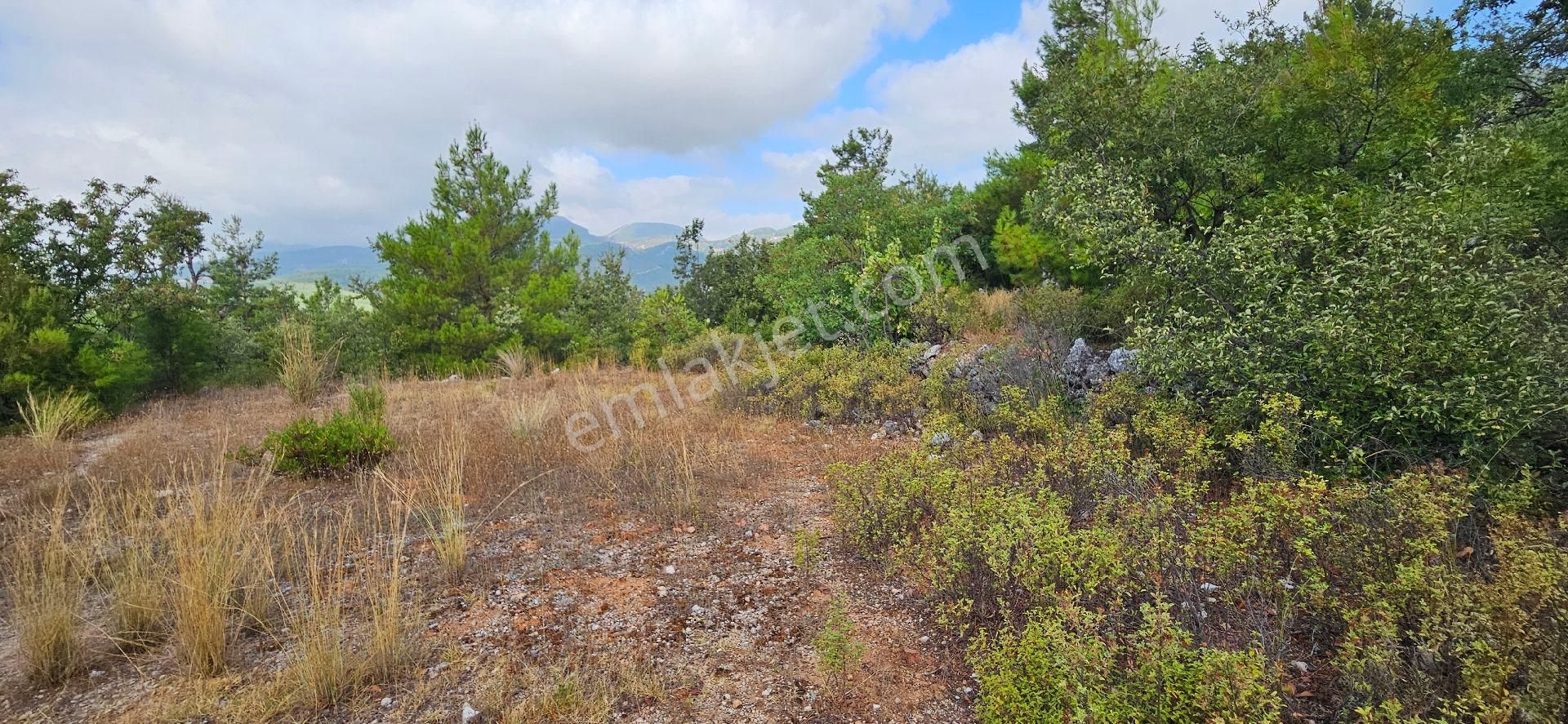 Alanya Bademağacında Satılık 500 Metre Bahçe Tapulu Yer - Görsel 20