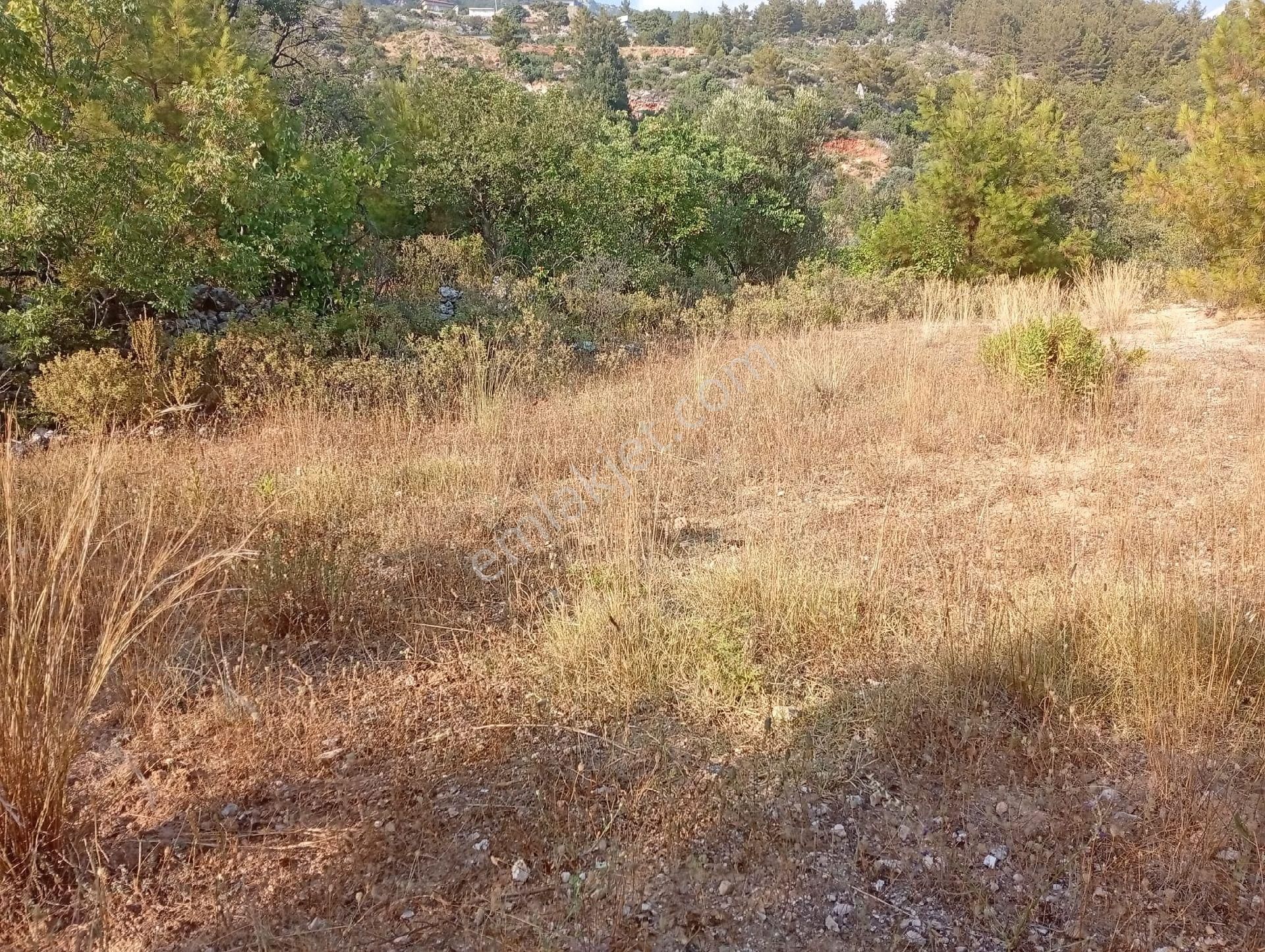 Alanya Bademağacında Satılık 500 Metre Bahçe Tapulu Yer - Görsel 10