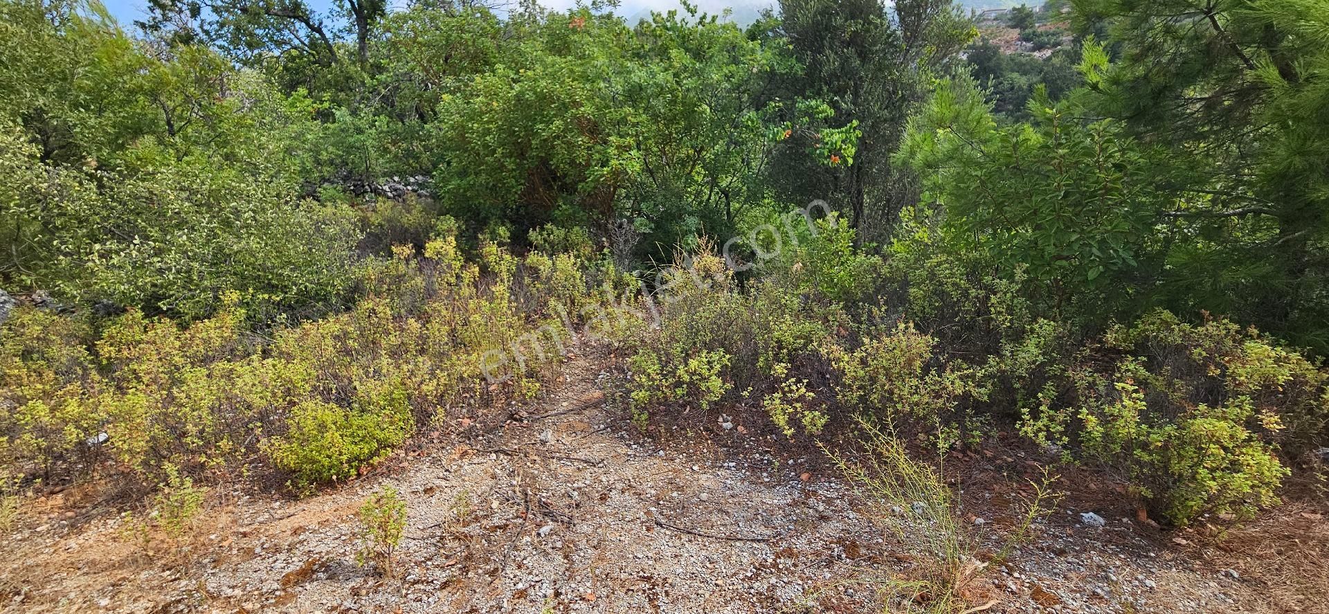 Alanya Bademağacında Satılık 500 Metre Bahçe Tapulu Yer - Görsel 12