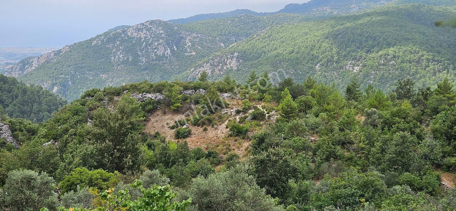 Alanya Bademağacında Satılık 500 Metre Bahçe Tapulu Yer - Görsel 24
