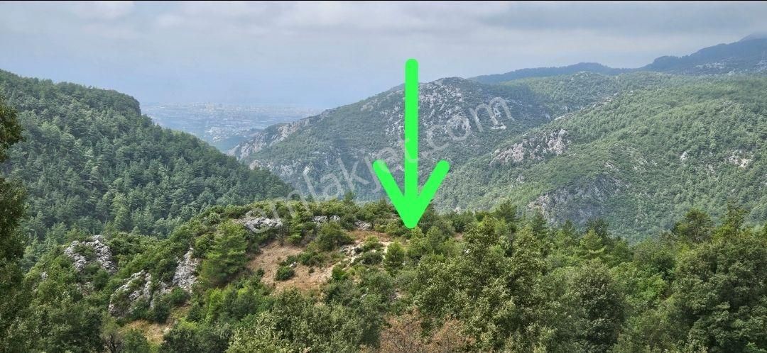 Alanya Bademağacında Satılık 500 Metre Bahçe Tapulu Yer - Görsel 3