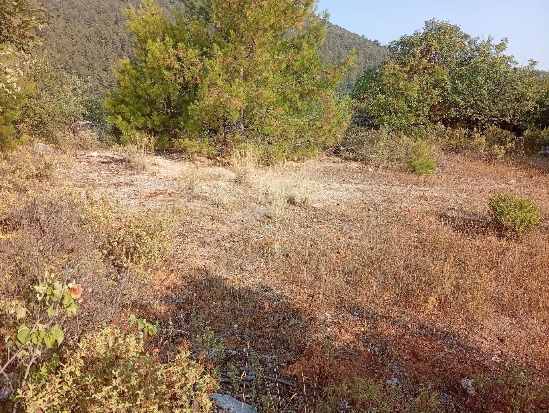 Alanya Bademağacında Satılık 500 Metre Bahçe Tapulu Yer - Görsel 6