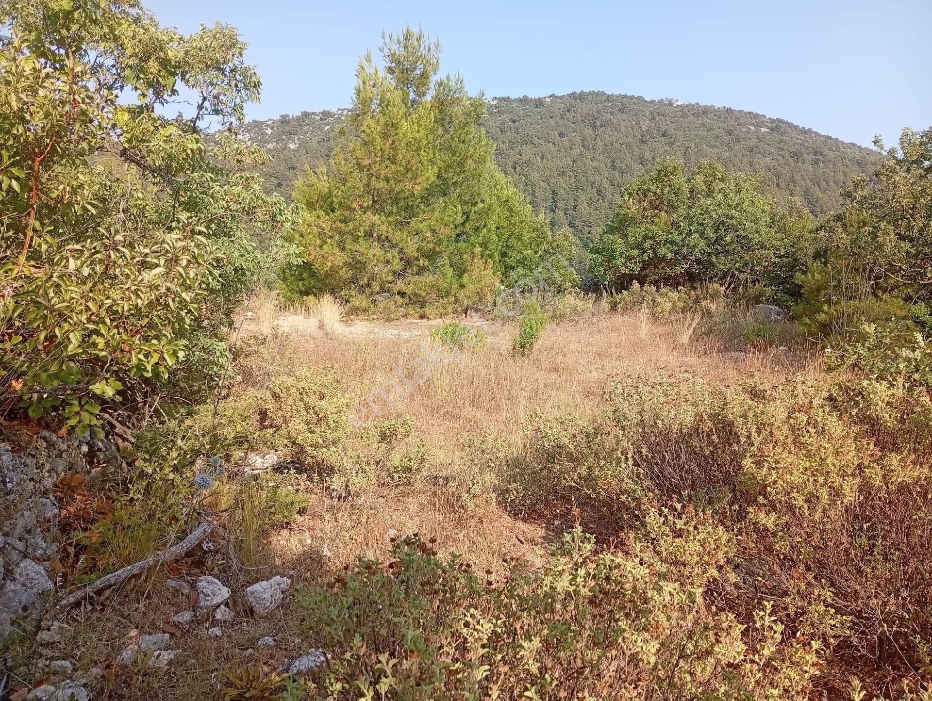 Alanya Bademağacında Satılık 500 Metre Bahçe Tapulu Yer - Görsel 9