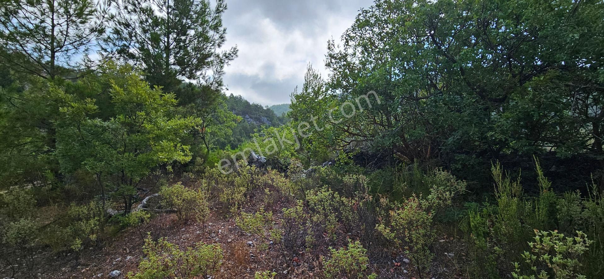 Alanya Bademağacında Satılık 500 Metre Bahçe Tapulu Yer - Görsel 18