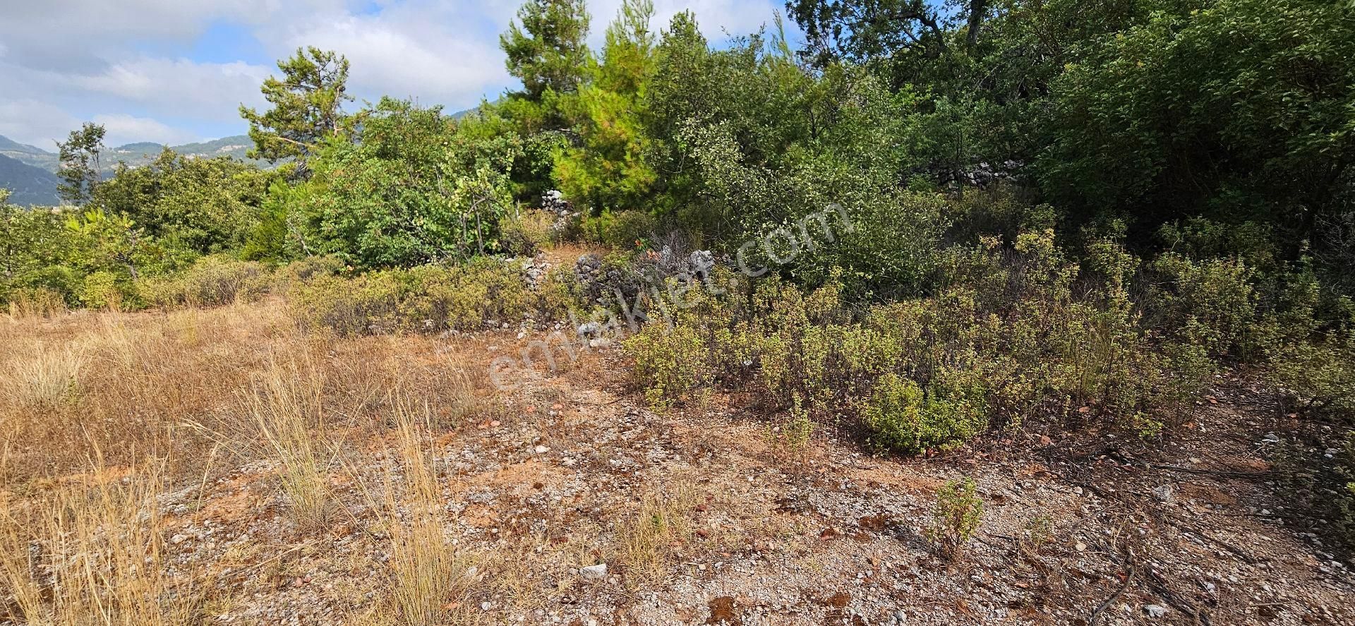 Alanya Bademağacında Satılık 500 Metre Bahçe Tapulu Yer - Görsel 13