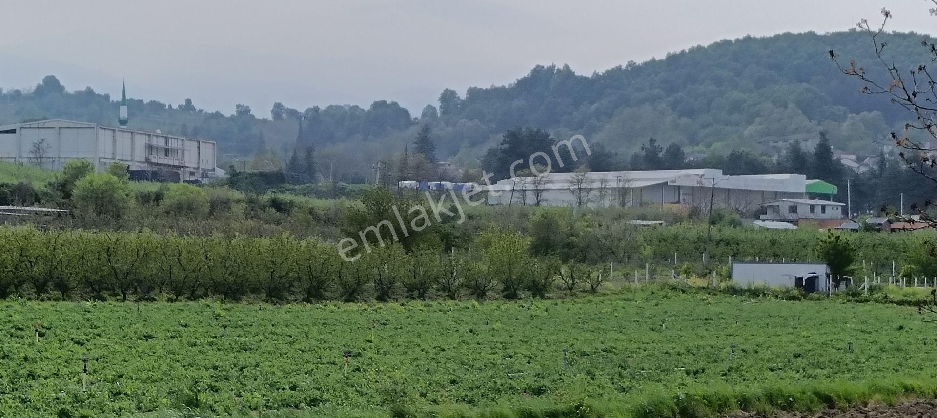 E&f Gayrimenkul'den Deydinler Mahallesinde Köy İçinde Tarla - Görsel 13