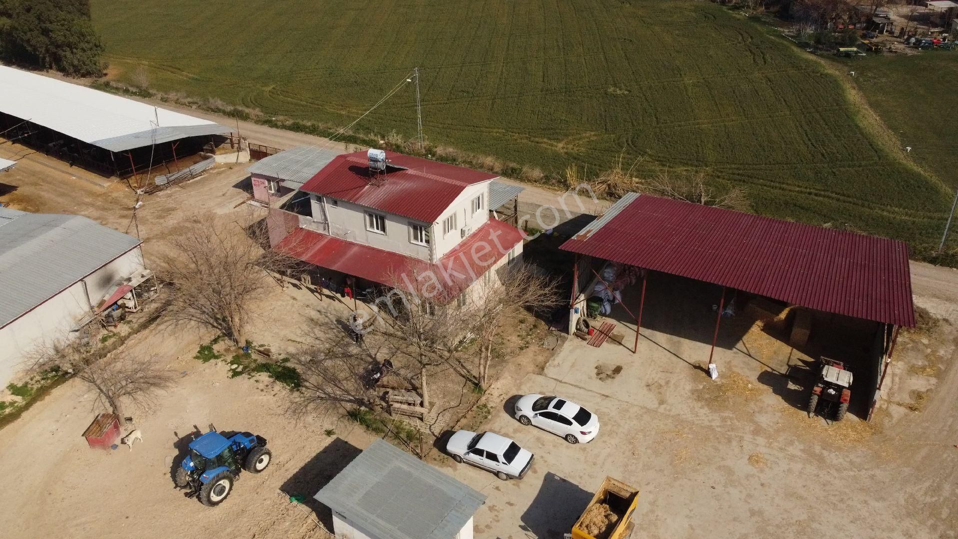 30 Dönüm Büyükbaş Hayvan Çiftliği Eksiksiz. - Görsel 3