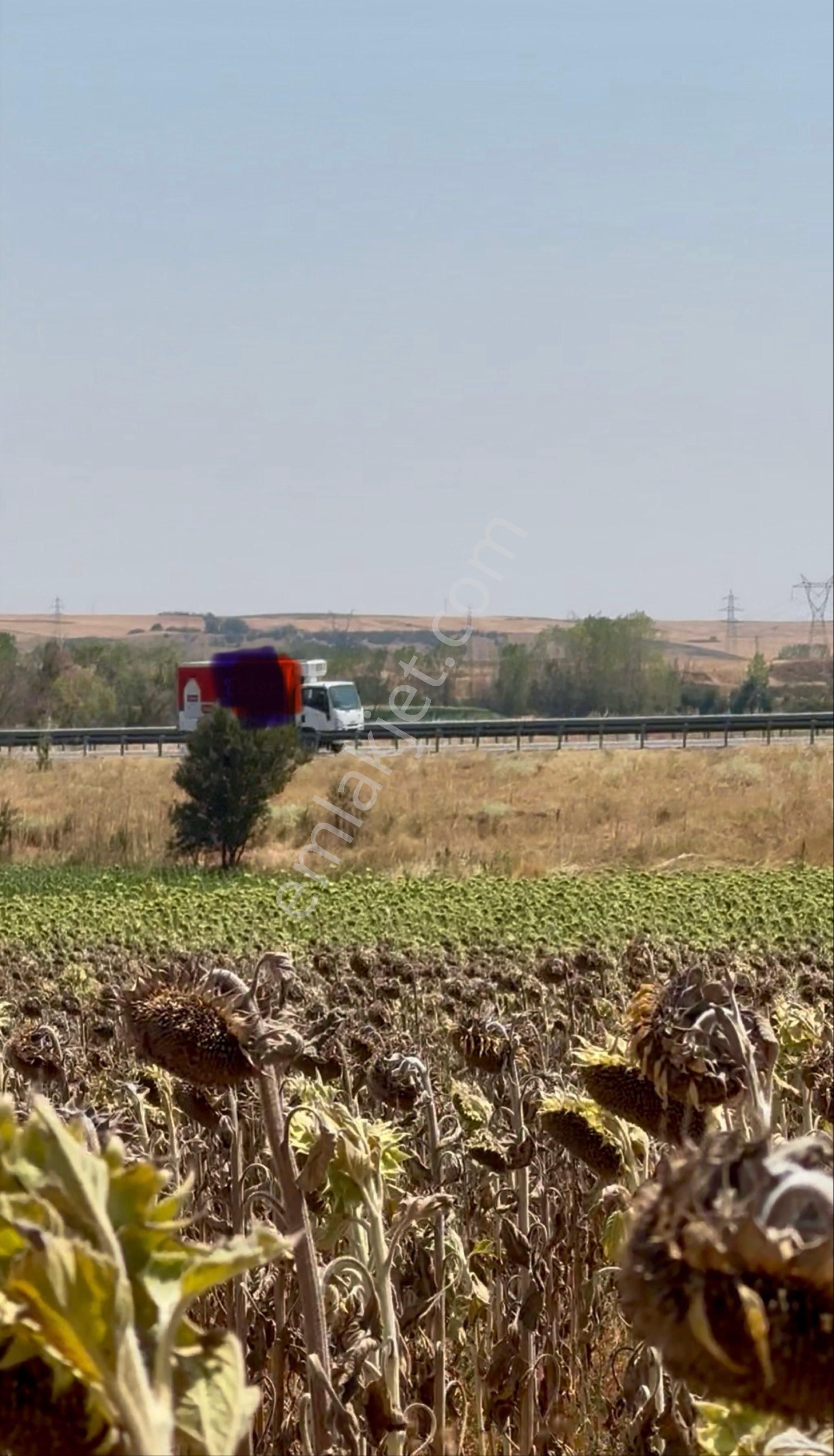 Edirne Havsa Necatiye Köyü 4.150 M2 Tek Tapu Tarla