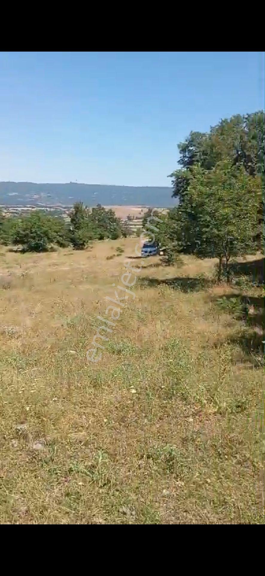 Bilecik Pazaryeri De Acil Satlik Tarla - Görsel 4