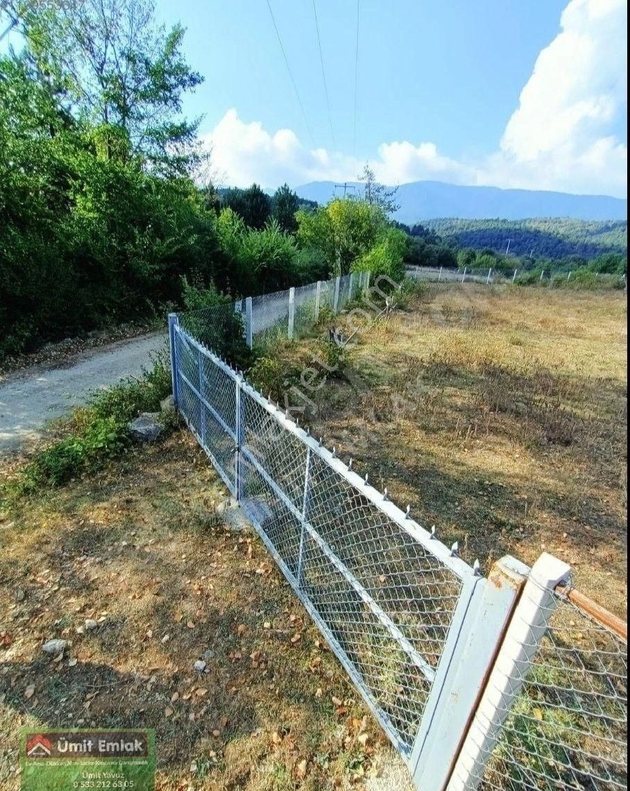 Bolu Merkez 3.580.m2 Etrafi Çevrili Çiftlik Arazisi Satılık