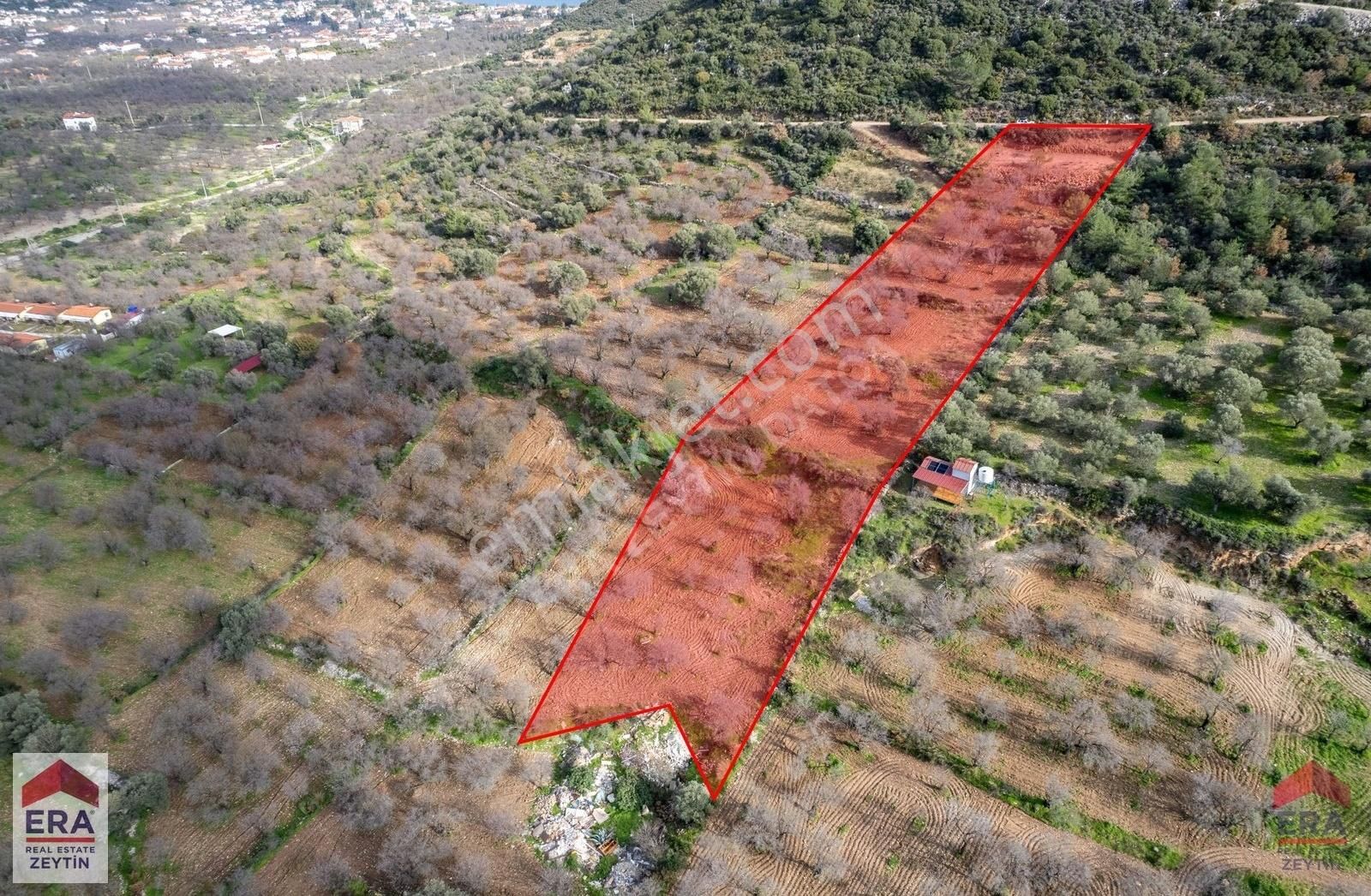 Datça Palamutbükü'nde 5197 M2 İmarlı Arsa Era Zeytin'den - Görsel 7
