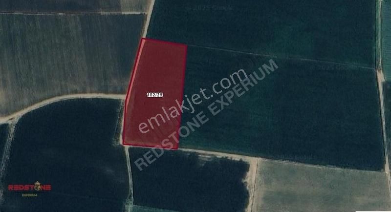 İzmir / Tire / Eskioba 5.515 M² Müstakil Tapulu Verimli Tarla