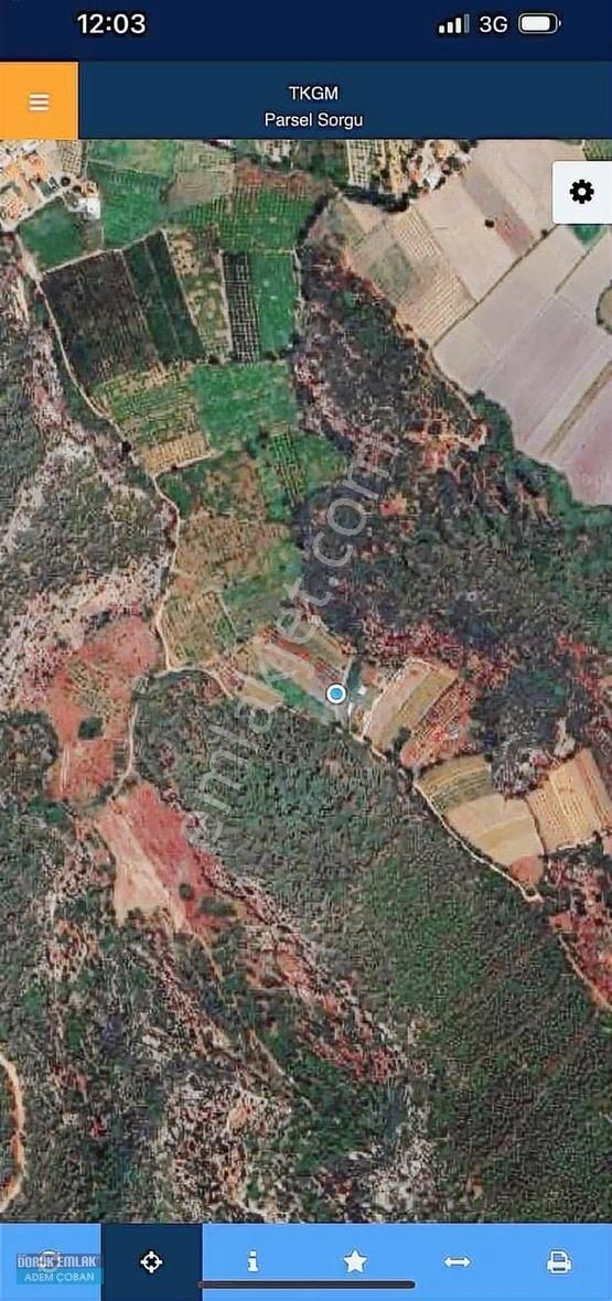 Muğla Ortaca Okçular Mahallesinde Satılık Hisseli Tarla