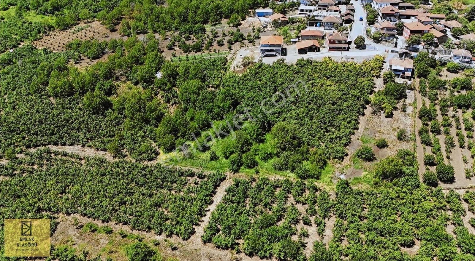 Çubuklu'da Köy İmarına Sınır Fırsat Arazi - Görsel 13