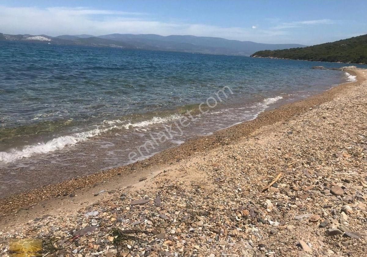 Özel Plajlı Sitede En Ön Sırada Full Manzaralı Penthouse Ev - Görsel 11