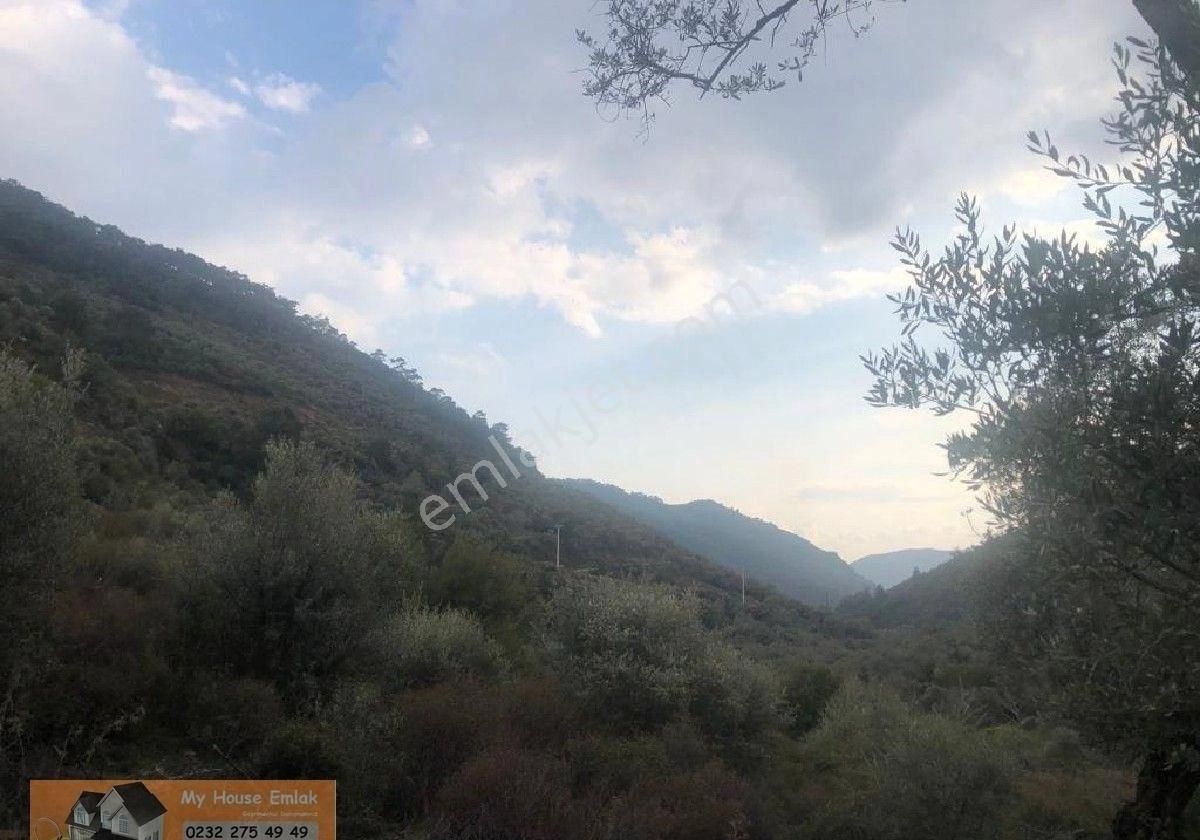 İzmir Bayındır Sarıyurt Mahallesinde 565 M2 Satılık Zeytinlik - Görsel 14