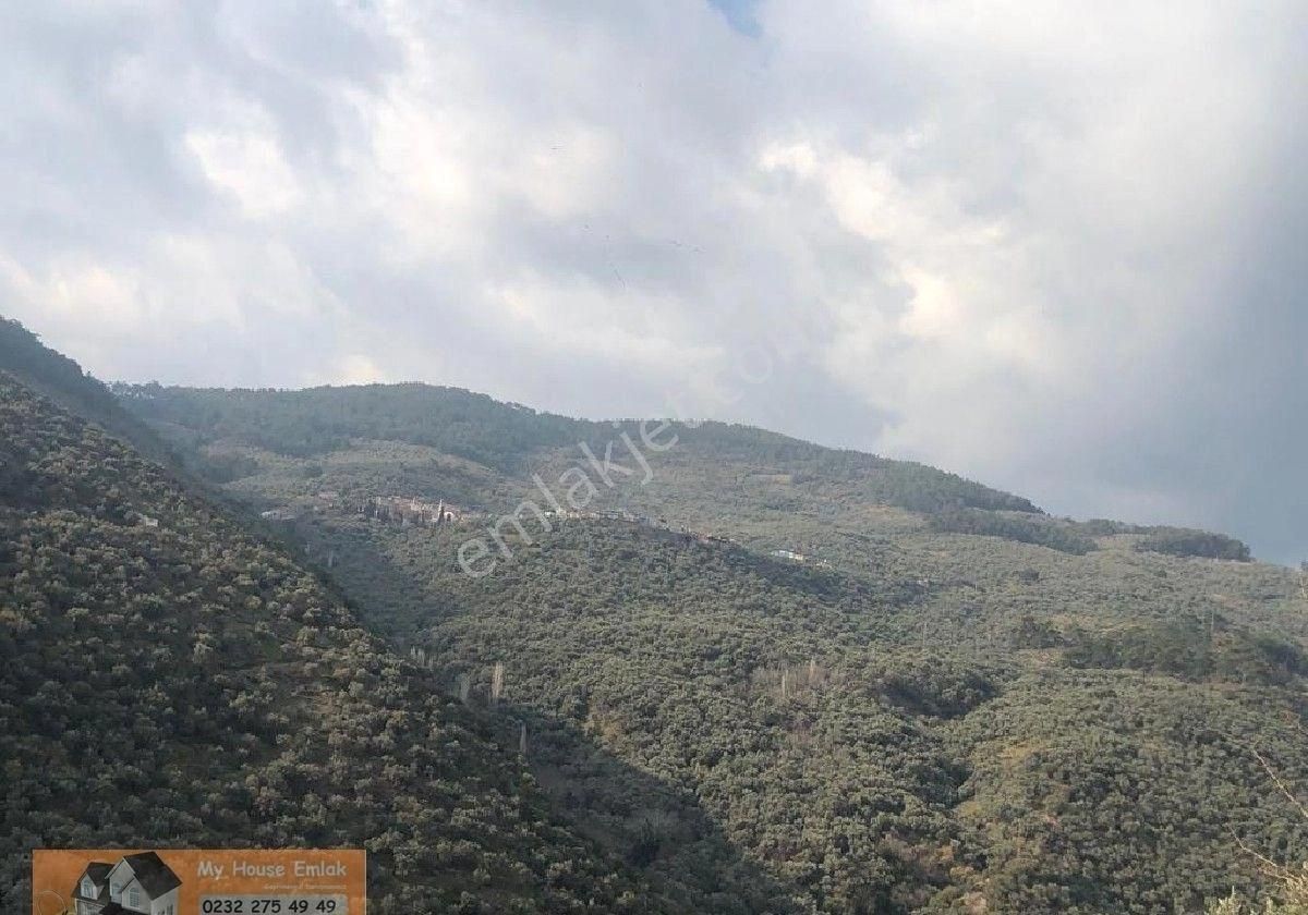 İzmir Bayındır Sarıyurt Mahallesinde 565 M2 Satılık Zeytinlik - Görsel 2