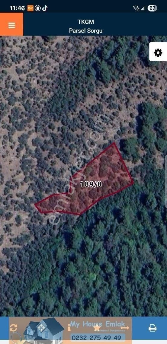 İzmir Bayındır Sarıyurt Mahallesinde Satılık Zeytinlik