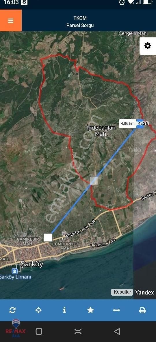 Remax Ala Dan Tekirdağ Şarköyde Satılık Zeytinlik