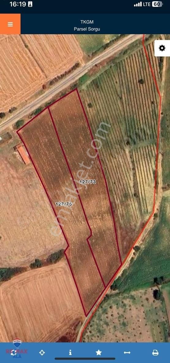Tekirdağ Şarköy De Satılık Tek Tapulu Tarla