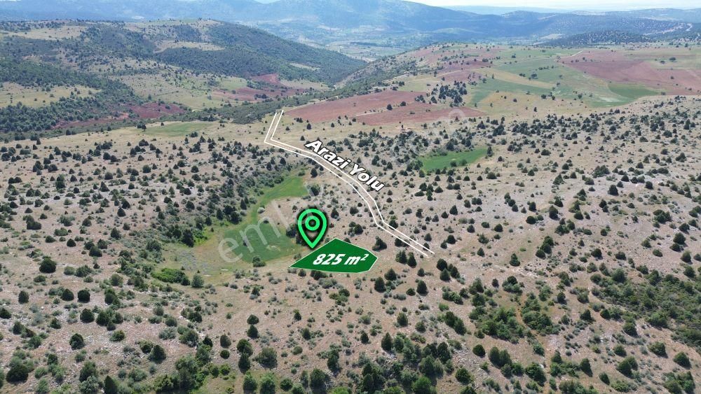 Konya / Ilgın / Mahmuthisar Mahallesinde 825 M² Müstakil Tapulu Tarla