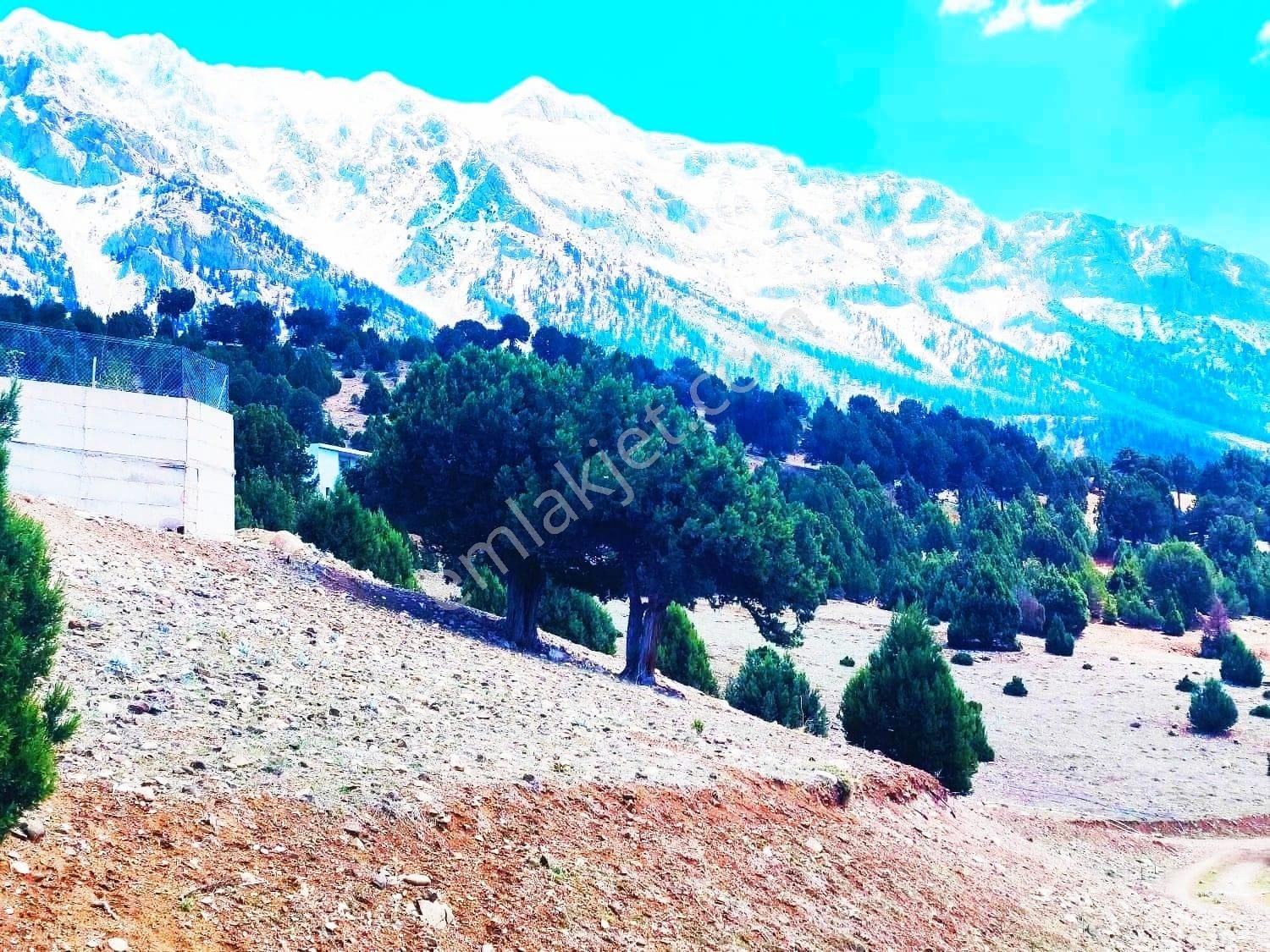 Pozantı Kar Emlaktan Aşçıbekirli Fenese Mevkiinde 400 M2 Arsa - Görsel 12