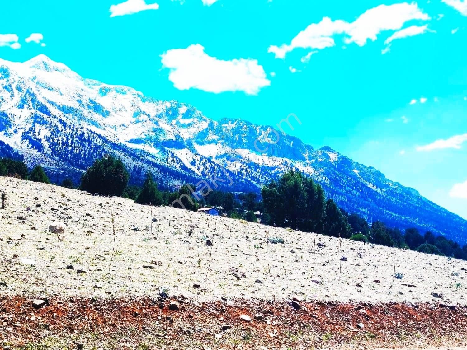 Pozantı Kar Emlaktan Aşçıbekirli Fenese Mevkiinde 400 M2 Arsa - Görsel 3