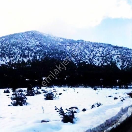 Pozantı Kar Emlaktan Yeni Konacık Yaylasında Bozkırlı Mevkiinde 420 M2 Arsa - Görsel 11