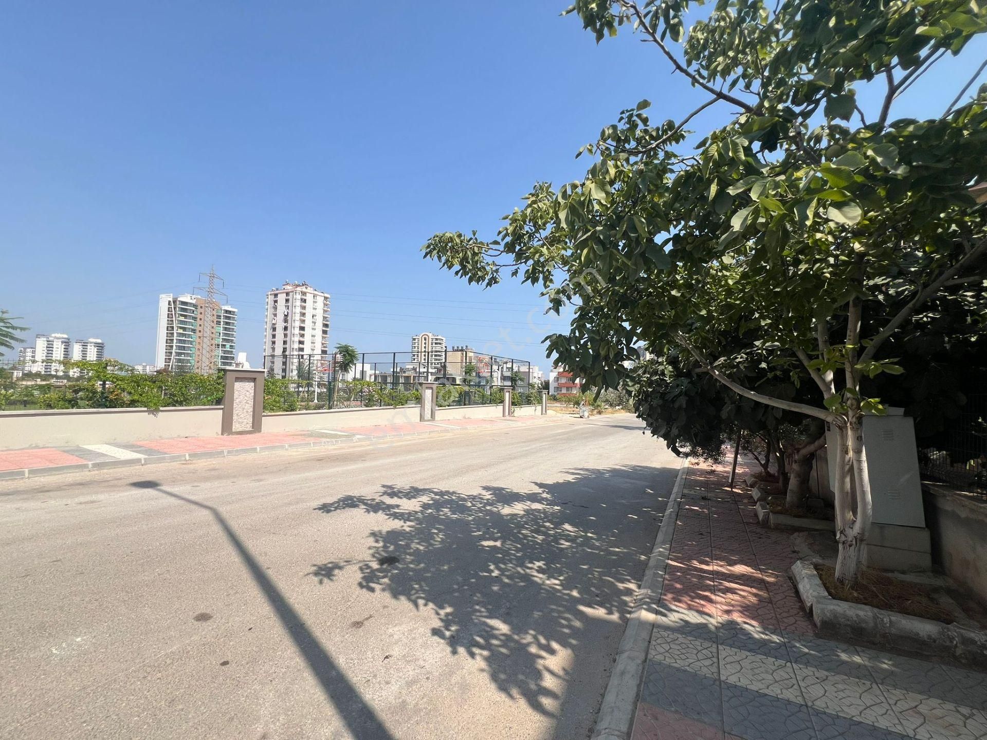 Arve'den 50.yıl'da Doğalgazlı Masrafsız Muhteşem Lokasyonda