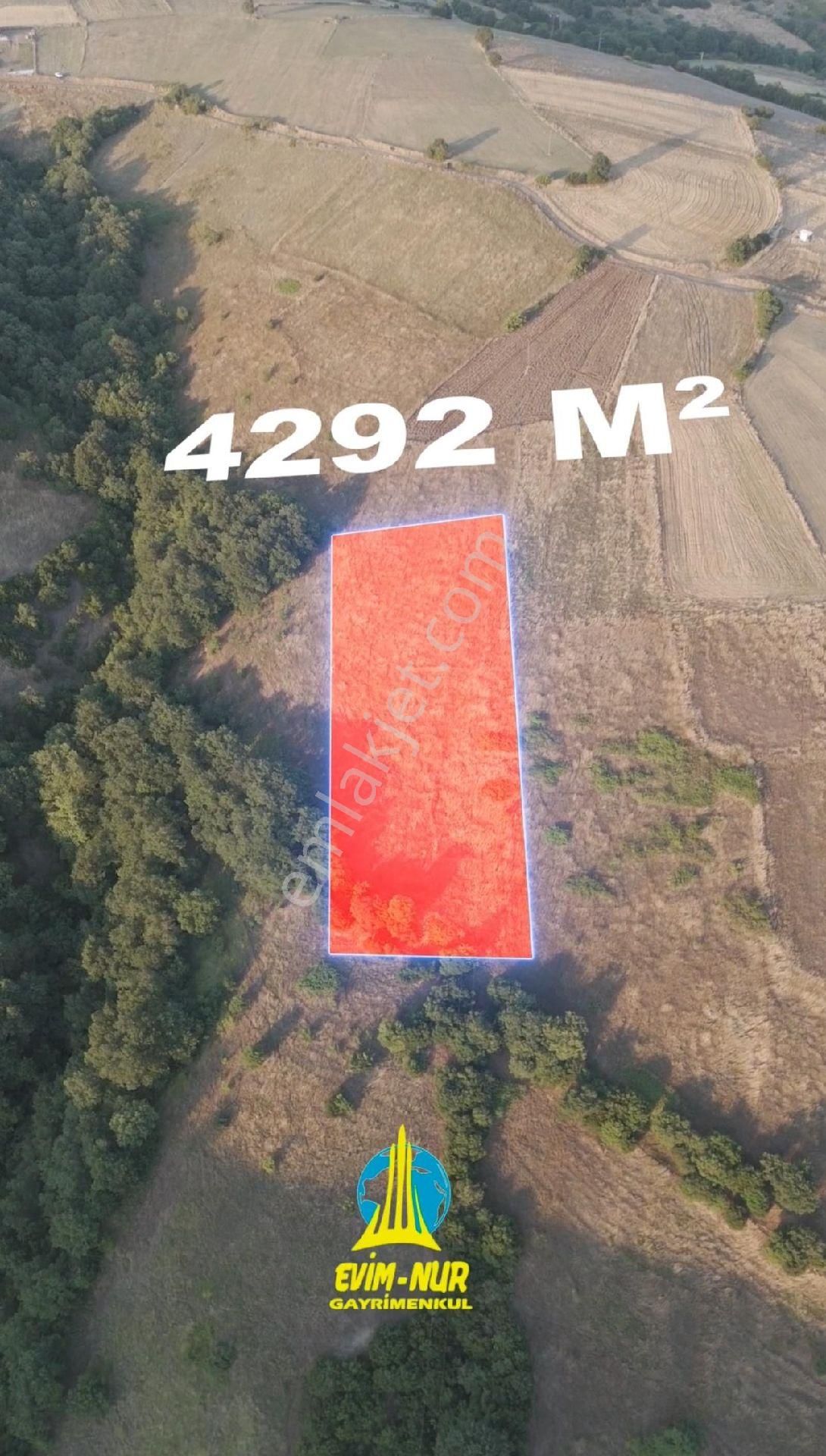Evim-nur'dan Dağköy Mah 4292m2 Manzaralı Kadastrolu Yolu Açılmış Yatırımlık Tarla - Görsel 5