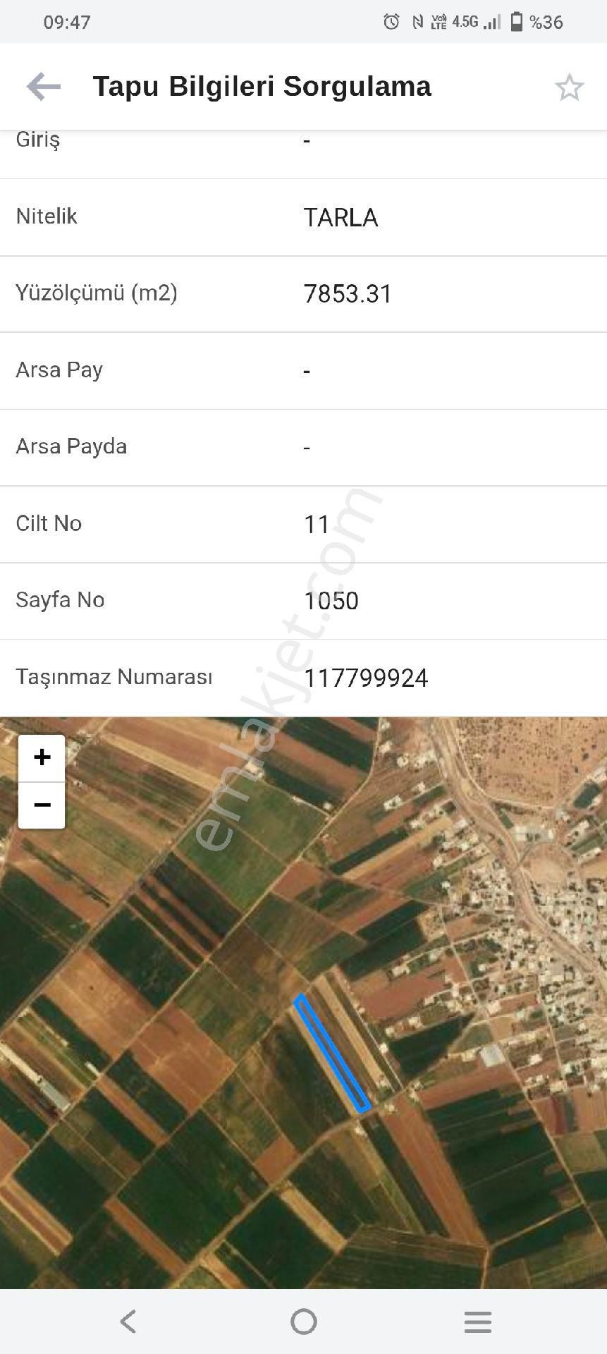 Sahibinden Müstakil Tarla