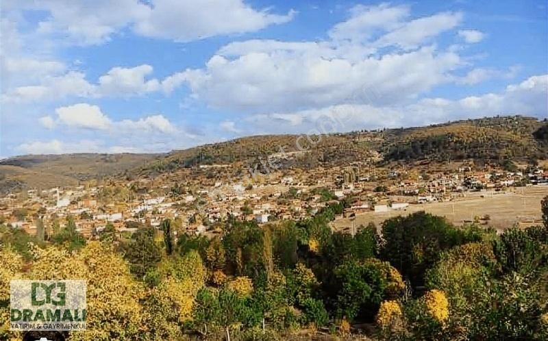 Tek Tapu Manzaralı