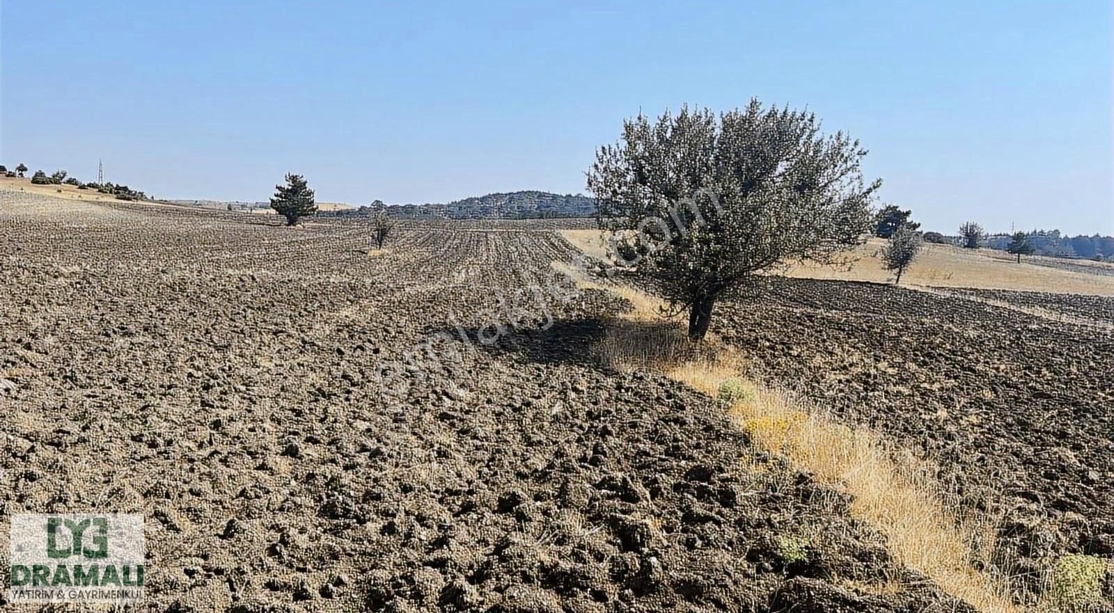 Ekilir Biçilir Asfalta Çok Yakın